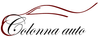Logo Colonna Auto di Giacomo Colonna & Figli snc